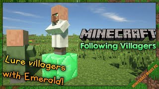 Following Villagers Mod 1.12.2- Minecraft Mods for PC