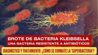 5 Datos Claves sobre el Brote de la bacteria kleibsella: ¿Cómo se Combate la 'Superbacteria'?