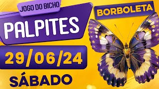 PALPITE DO DIA 29/06/2024 - JOGO DO BICHO 🍀 TODAS AS LOTERIAS 🍀