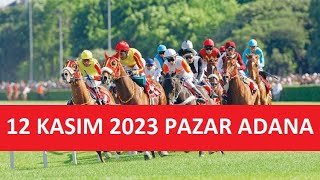 12 KASIM 2023 PAZAR ADANA AT YARIŞI TAHMİNLERİ VE YORUMLARI