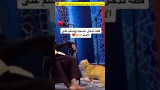 قطة تدخل المسجد وتسلم علي الامام 🤲#قطةتدخل المسجد