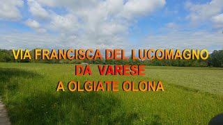 LA VIA FRANCISCA DEL LUCOMAGNO da varese a olgiate olona