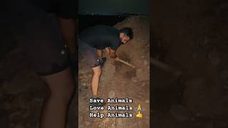 Respect Nature 🫡 #animals #save #life #motivation #youtubeshorts #shorts