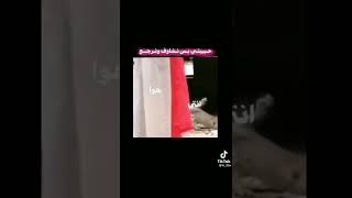 هاث متعلم من عندي هيام جزيره سياحيه ❤️