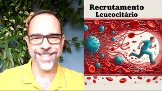 Recrutamento Leucocitário