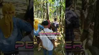 WISATA PENGGER GUNUNG KIDUL