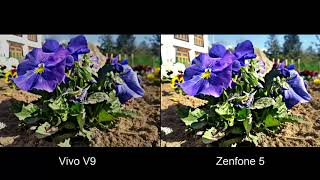 Vivo V9 Vs Asus Zenfone 5 Camera Test Comparison