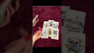 💯🔥 КАКОЙ МУЖЧИНА СКОРО ОБЪЯВИТСЯ И С ЧЕМ 💖🔥 #shortvideo #tarot #ленорман