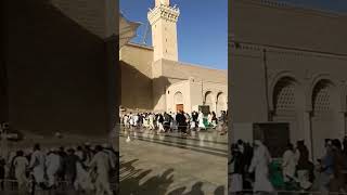 Madinah Salami Pesh Karne Wale Haji| #madinah #shorts #viral