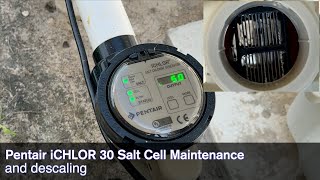 Pentair ICHLOR 30 Salt Cell Maintenance and Descaling for Optimum Performance