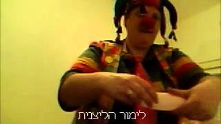 כלב מקיפול בלונים-לימור הליצנית