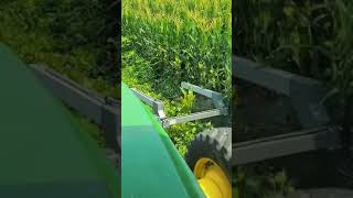 طريقة جديدة لإبادة النبتات الضارة #shorts #agriculture