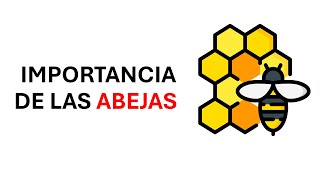 ¿Por que las abejas son tan importantes para el mundo?