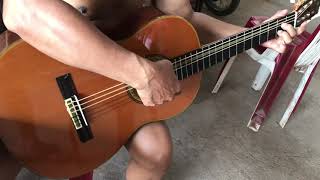 Yamaha C250 Guitar Test l Amazing sound