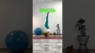 Come migliorare il PINCHA MAYURASANA🦚 #yoga #tutorial #asana #yogagirl #yogapose #pinchamayurasana