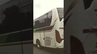 Bis SINAR JAYA discovery | Jakarta - Tegal - Slawi #bismaniacomunity #videoshort