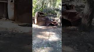 Bush Find sitting for 50years,1950s  Chevy Truck!!..WILL IT START AND DRIVE????...no,