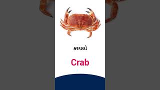 Crab meaning in Gujarati - English Dictionary