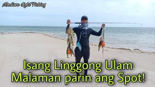 ML EP 8_harvest ng pang isang linggo ulam shore casting #fishingadventure Philippines