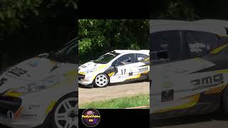 Rallye Régional du Clain 2024, Trochu Quentin / Ricou Brice, Peugeot 207 RC