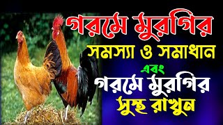 গরমে মুরগির সমস্যা ও সমাধান || গরমে মুরগিগুল সুস্থ রাখুন | দেশি মুরগি পালন পদ্ধতি |দেশি মুরগির খামার