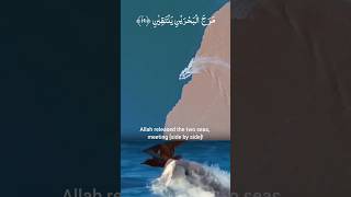 The Miracle of Two Seas Meeting Without Mixing | #QuranMiracle Explained