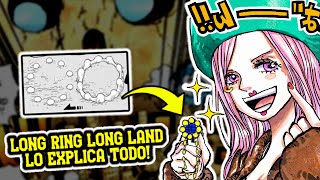 TODO ESTÁ CONECTADO! LONG RING LONG LAND ES LA CLAVE - LAS AKUMA NO MI Y EL ARBOL DIVINO - ONE PIECE