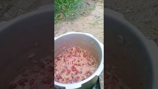 Rice N Peas Almost Ready 😋🤤 #cooking #jamaican #riceandpeas #meal