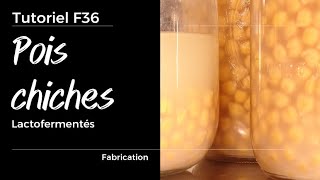 F36 Pois chiches fermentés