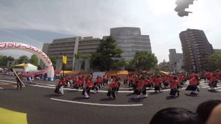 Carnival dancing in Hiroshima Flower Festival