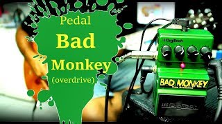 Pedal Bad Monkey ligado em linha.