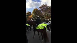 Vor dem Spiel Dortmund vs. Schalke (Borussia Dortmund - FC Schalke 04 | 29.10.16)