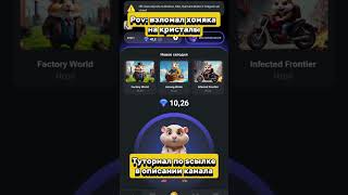 Взлом хамстер комбат #мем #hamsterkombat #хомяк