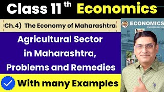 Agriculture sector in Maharashtra || General Problems and Remedies undertaken by the Government