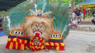 SOLAH PEMBARONG DADAK MERAK KEREN DESA BRINGINAN #dadakmerak #pembarong #reog