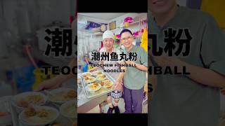 Teochew Fishball Noodles 潮州鱼丸粉