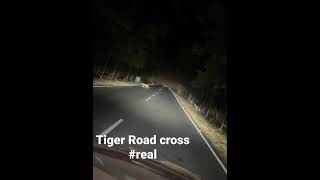 TIGER ROAD CROSS #rairakhol - #boudha road NH