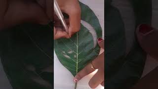 ||| leaf cutting art |||world|||easy cutting art for beginners|||short |||