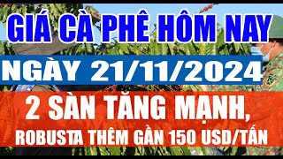 Giá cà phê hôm nay 21/11/2024: 2 sàn tăng mạnh, Robusta thêm gần 150 USD/tấn