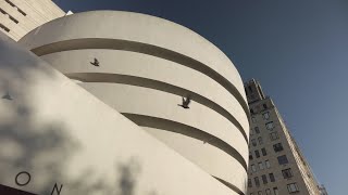 We Invite You to Wonder at the Guggenheim