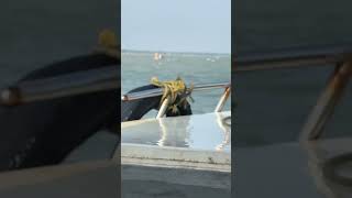 Boat Ride | Bay of Bengal | பட்டுக்கோட்டை | தஞ்சாவூர் படகு சவாரி#sea #boating