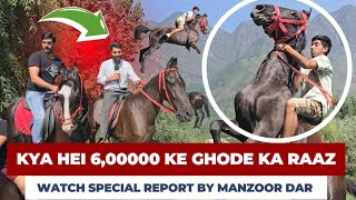 Passion of Horse Riding, Meet Omer & His Friend Own 4 Riding Horse in Sgr Worth 6 Lakh and 4 Lakh.