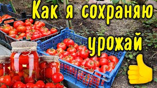 Как я сохраняю урожай