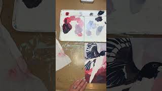 Painting a Rose Breasted Grossbeak as Part Of My 100 Day Project