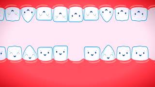 Il Calendario di denti da latte e denti permanenti