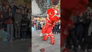 Chinese New Year 2024 celebrations in Rotterdam Holland