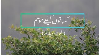 موسم کی صورتحال،دھوپ کب نکلے گی weather forecast this week punjab,