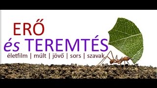 Erő és Teremtés - 2015.09.16