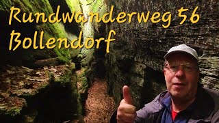 Rundwanderweg 56 Bollendorf Naturpark Südeifel: Zur Wolfsschluff und Fraubillenkreuz #wandern #eifel