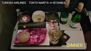 TURKISH AIRLINES 🇹🇷 TOKYO→ISTANBUL B777-300ER